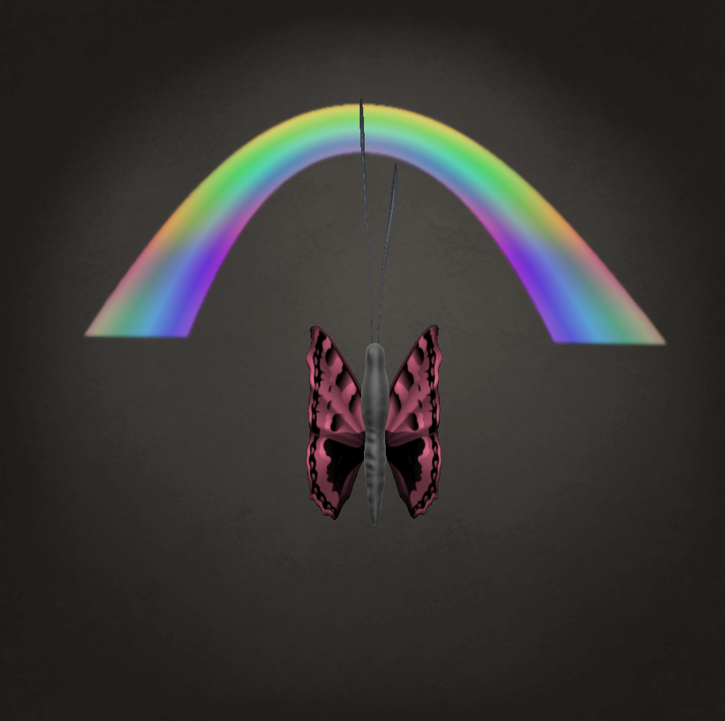 Rainbow Effect Butterfly | Papillon Archives 2.0